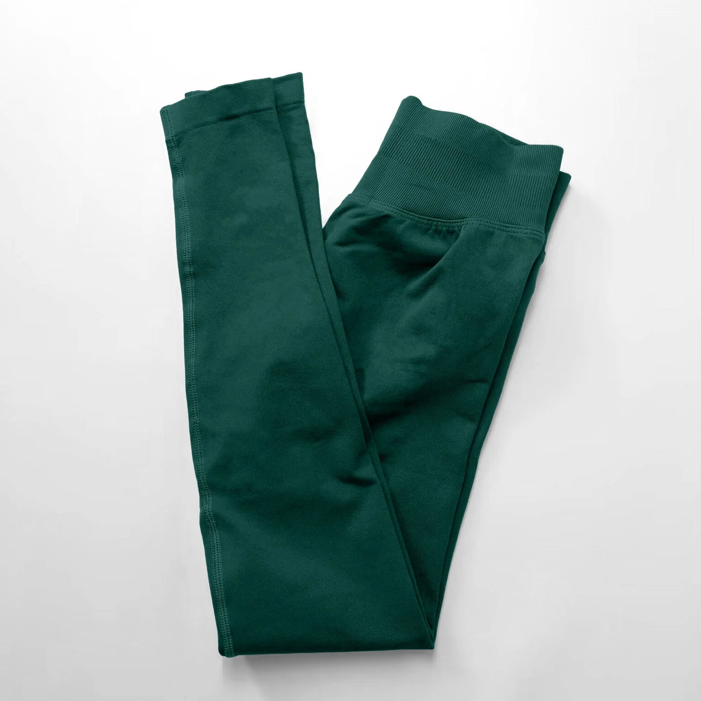 The Forma Ribbed Seamless Leggings