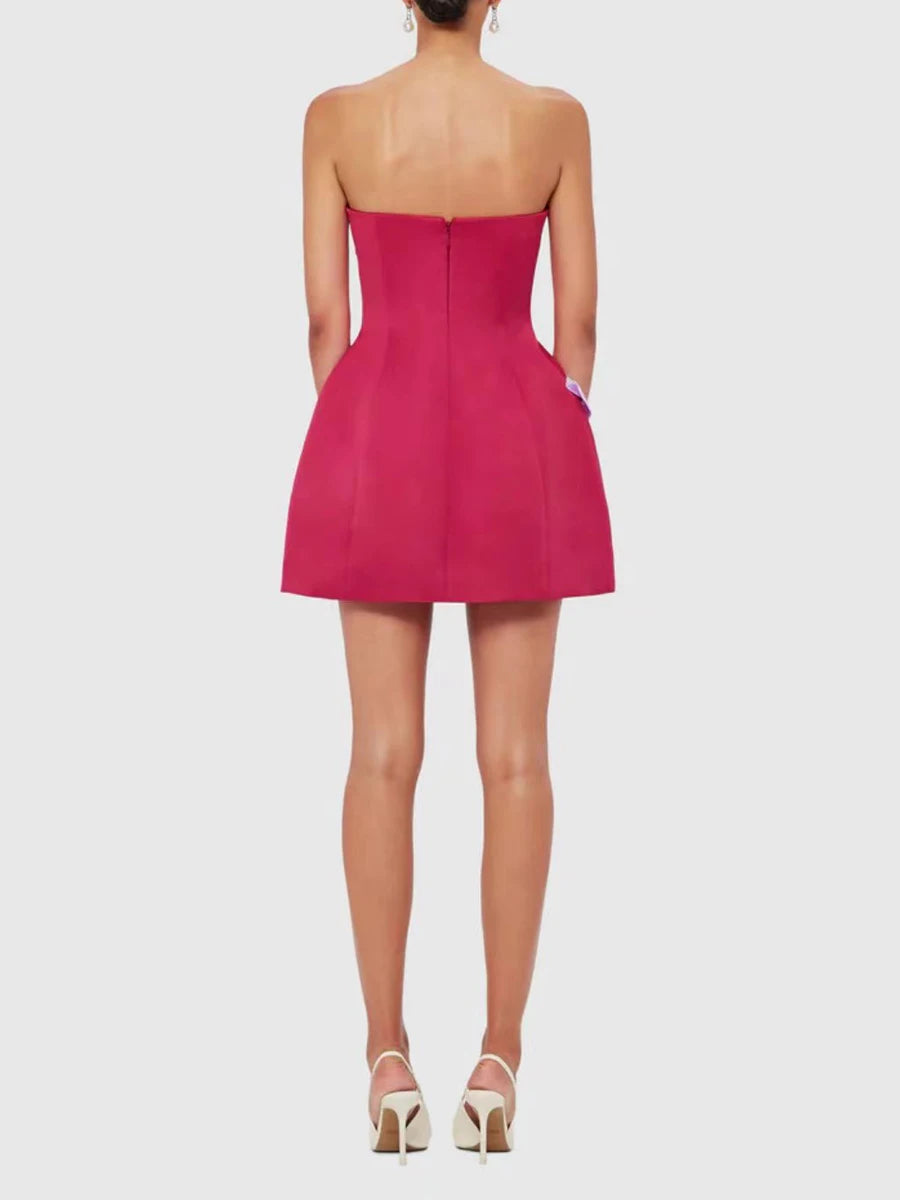 The Amara Appliqué Mini Dress