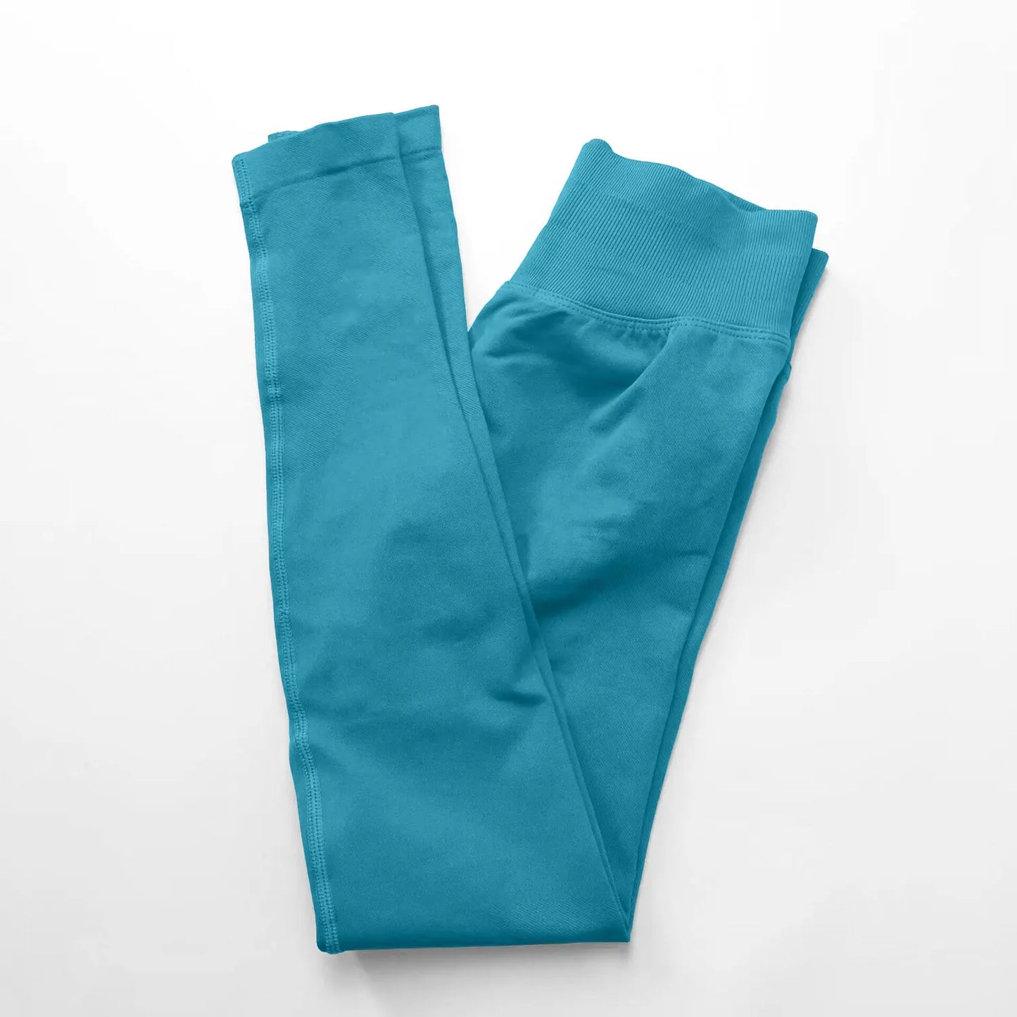 The Forma Ribbed Seamless Leggings